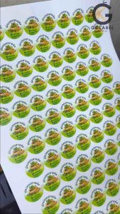 สติ๊กเกอร์ผักปลอดสารพิษ กันน้ำ 100% ขนาด 3.5cm แบบวงกลมได้ 288 ดวง แบบสี่เหลี่ยมขอบมนได้ 264 ดวง