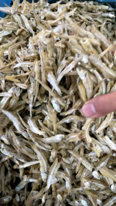 Ikan Bilis Batang putih (Rangup) ikan bilis tempatan |500gm/pack ‼️