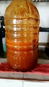 Hayahay Probiotics 1 liter
