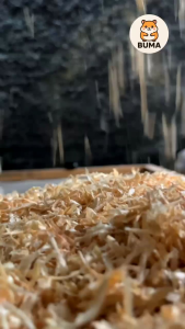 SERBUK KAYU HAMSTER 300gr - 500gr ALAS KANDANG JATI BELANDA