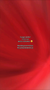 Bunga Mawar Merah Hari Guru