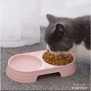 [READY STOCK] Eco PP Colorful Pet Cat Dog Kitten Puppy Food Water Feeder Bowl | mangkuk kucing | 宠物碗 狗碗猫碗 定时喂食器