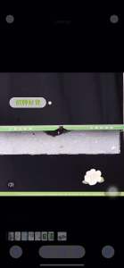 超强力粘鼠板-批发捕鼠器灭鼠贴超强粘鼠标板-批发鼠标陷阱和胶板