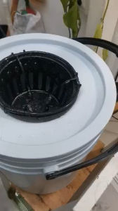 ถังปลูกไฮโดรโปนิค