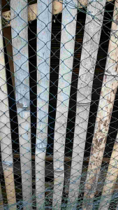 Jaring Pagar 13x13 Meter Lubang 2x2 cm - Pagar Ayam Bebek Tanaman - Bonus Tali Ris - PE Plastik (EXPORT)