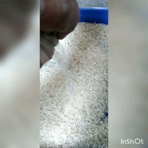 Beras Slyp Super Cap Putri Agri 10kg Pulen