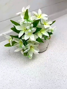 Sabun Bubuk Pembersih Lantai & Sabun Penghilang Noda Stone Cleaning Powder