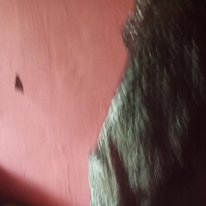 Buble wraf untuk tambahan packing pelindung keamanan packing buble wrap plastik gelembung hitam.