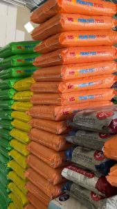 MS PRIMA FEED PF 0PF100PF200PF500PF800PF 1000 PAKAN BENIH KARUNG 10KG