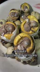 ไข่เวียดนามแท้ 100% บางใบ 10ฟอง เวียดนามแท้ ระยะ 2