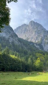 Chế Phẩm Xử Lý Cỏ Trước Nảy Mầm - WINDUP 500EC An Toàn Cho Mầm Lúa