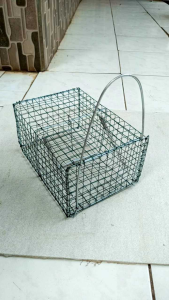 Jebakan Tikus Ampuh - Senteg Tikus