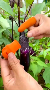 Sarung Jari Pemotong Sayur / Thumb Vegetable Cutter Glove