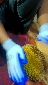 6 Pasang Sarung Tangan Gekko dan Lupo Lateks Anti Sajam Pria dan Wanita Dewasa Sarung Tangan Kerja Nyaman