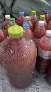 ชุดทำจุลินทรีย์ 1 ชุดทำได้ 4 ขวดใหญ่ พร้อมวิธีทำ NPK ปุ๋ย ปุ๋ยสูตร ดอก ผล ดก บำรุงต้นพืช บำรุงดิน ต้นไม้ อามิอามิ