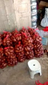 Salak lokal manis 1kg