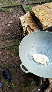 MINYAK BIYAWAK PENYUBUR TANDUK DOMBA