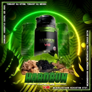 [READY STOCK] Hardrun V2 Mens Performance Original HQ