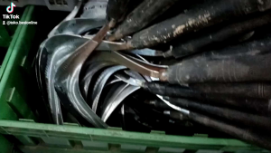 Arit Rumput & Padi Kualitas Terjamin A1 Original