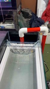 KHAY TÁCH PHÂN CÁ kt:15*13*35(DRC)