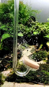 co2 Diffuser aquascape aquarium bubble halus