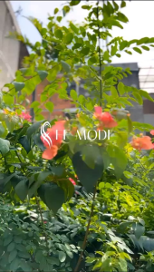 DAHLIA DRES SET PASHMINA