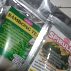 SPIRULINA+SAMBONG(PERFECT COMBINATION)FOR EYE PROBLEM ANEMIA LEUKEMIA 50 TEA BAGS