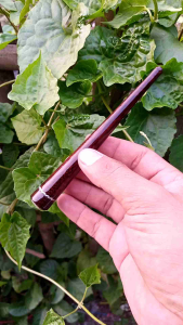 Pipa cangklong kayu gali asem 14cm lingkar cincin