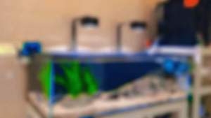 Đèn thuỷ sinh hồ cá lion LD mã 30w-50w-70w-72w