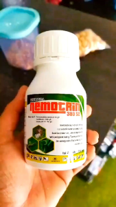 neotrin insektisida 380 sc obat pembasmi hama gulma rumput liar padi racun ulat paling ampuh
