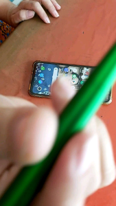 ปากา น้ำเงิน ช้าง ลีโอ