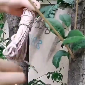 Tali Jemuran Pakaian 10 Meter Anti Slip / Tali Tambang Kemah Camping / Tali Jemur Baju / Tali ikat Serbaguna