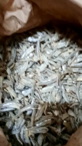 IKAN BILIS/ IKAN TERI KACANG/ TERI MEDAN 200GRAM