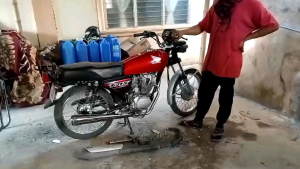 TMX 125/155 MUFFLER CHICKEN PIPE PURE STainless