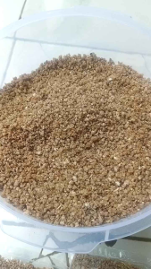 Beras TIWUL/OYEK 1KG: Kualitas Tinggi & Sehat