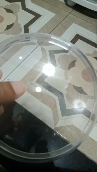 Buyer review video 2