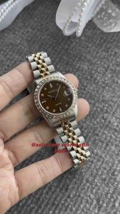 [Original] BNB10553-3647S (32mm) Bonia Elegance Sapphire Womens Watch with Brown Dial Dual Tone Rose gold and Silver Stainless Steel Bracelet | Official Warranty