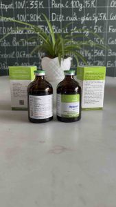 Vemedim Ketovet 100m - Giảm đau hạ sốt kháng viêm không chứa corticoid