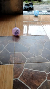 BOLA GLINDING HAMSTER RUNNING BALL HAMSTER 10 CM - KODE#2