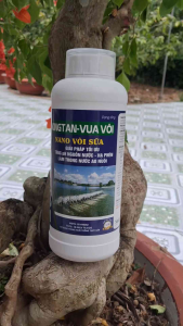 Kingtan Nano Vôi Sữa 1L – Tăng pH Hạ Phèn Làm Trong Nước Ao Nuôi Hiệu Quả – Giải Pháp Xử Lý Nước Thủy Sản Tối Ưu – Dạng Nano Dễ Hòa Tan