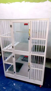 Kandang Kucing 2 Pintu: Praktis, Tahan Lama & Akses Mudah