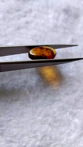 รอบที่-2 ก-28 อำพันพม่าแบบมีแมลง อำพันแท้ 100%