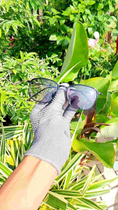 Kacamata Minus Wanita Photocromic Frame Plastik Terbaru