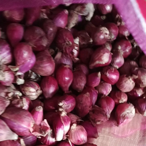 Bm pilihan super 1 kg