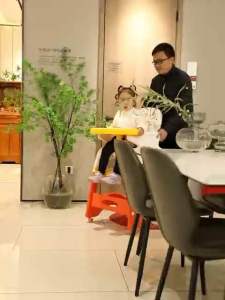 (SG Ready) Multi Function Children Table and Chairs Set