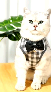 ROMPI HARNESS + TALI UNTUK KUCING/ANABUL