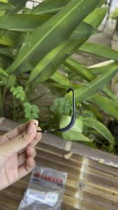 Besi Kawat Kancingan Klem Klemp Airscoop Mata Kucing Rx King Rxking Rx K Original Yamaha