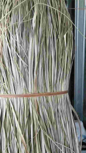 PROMO daun pandan kering aneka bahan kerajinan 1.kg