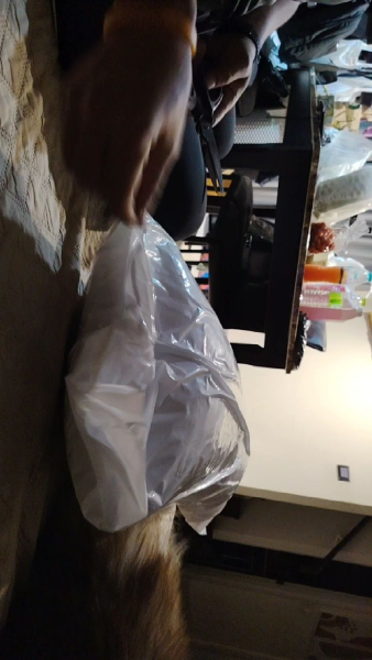 Buyer review video 4