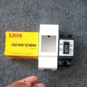 Át cầu dao tự động Lioa 20A 30A kèm vỏ